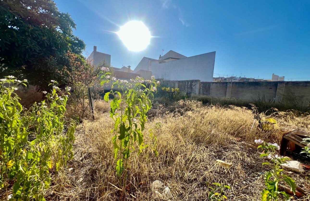 Revente - Villa - Pinoso - Inland