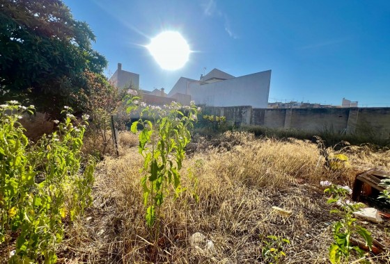 Revente - Villa - Pinoso - Inland