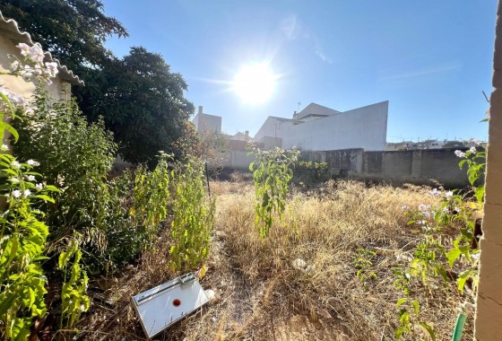 Revente - Villa - Pinoso - Inland