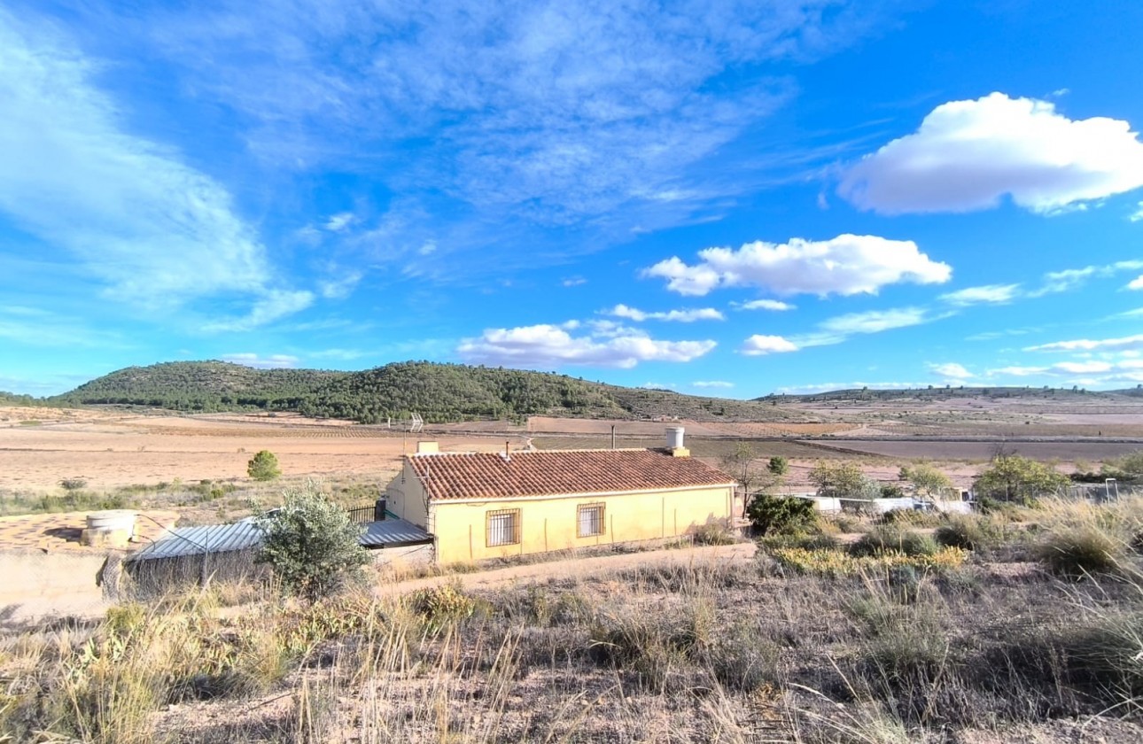 Reventa - Property - Yecla - Inland