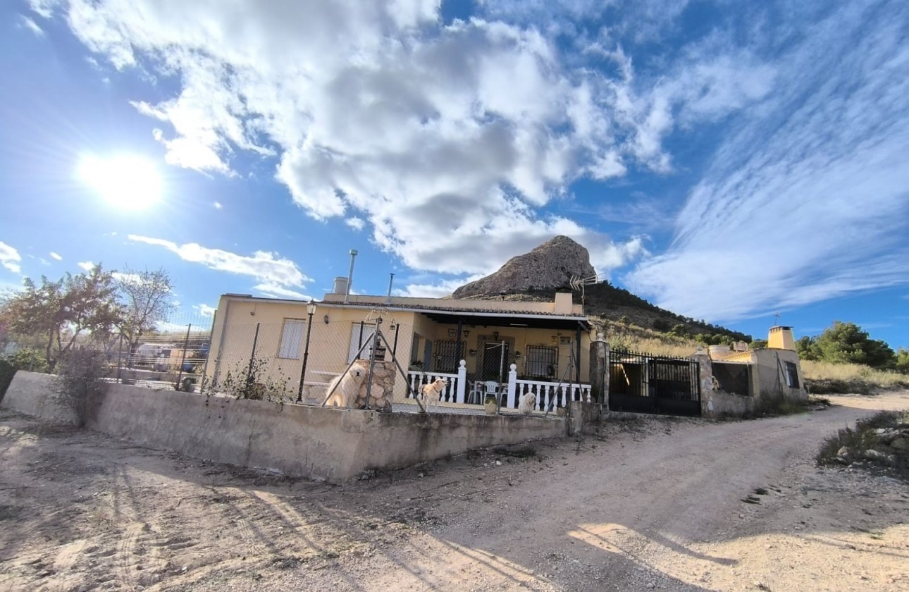Revente - Property - Yecla - Inland
