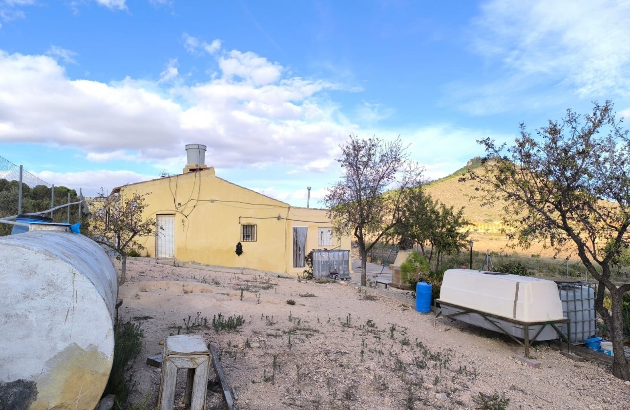 Revente - Property - Yecla - Inland