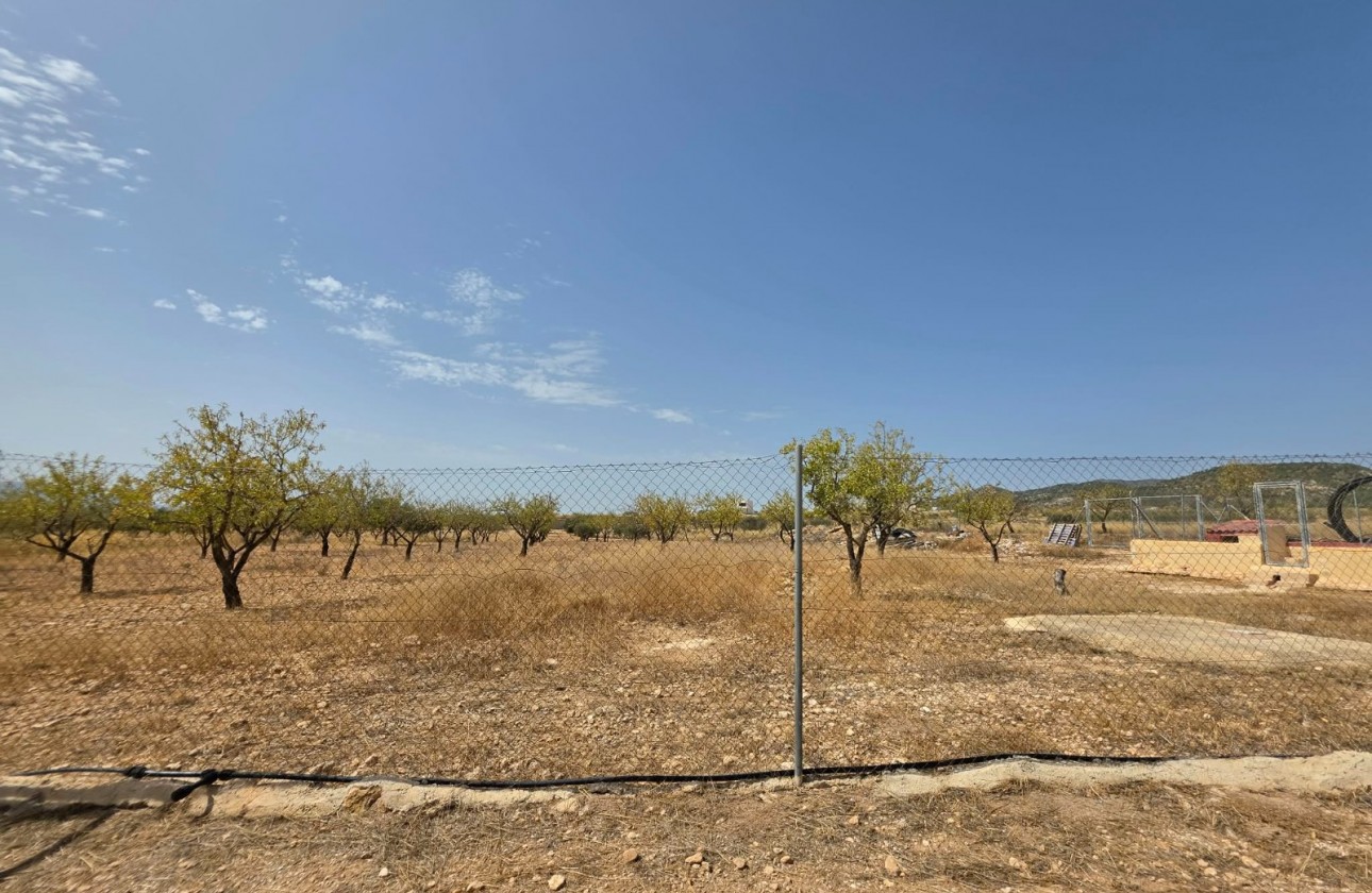 Revente - Property - Jumilla - Inland