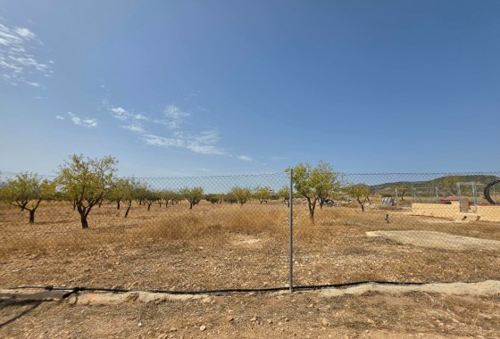 Revente - Property - Jumilla - Inland