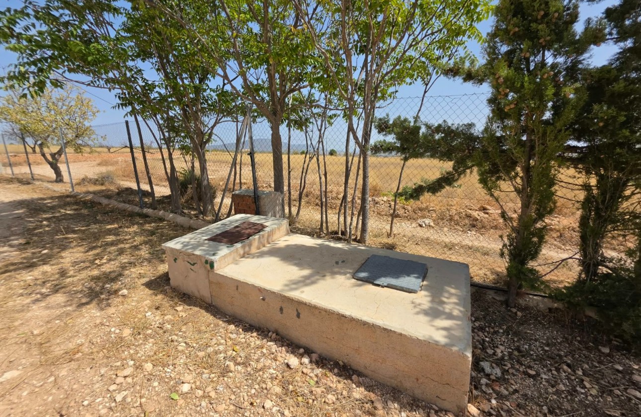 Revente - Property - Jumilla - Inland