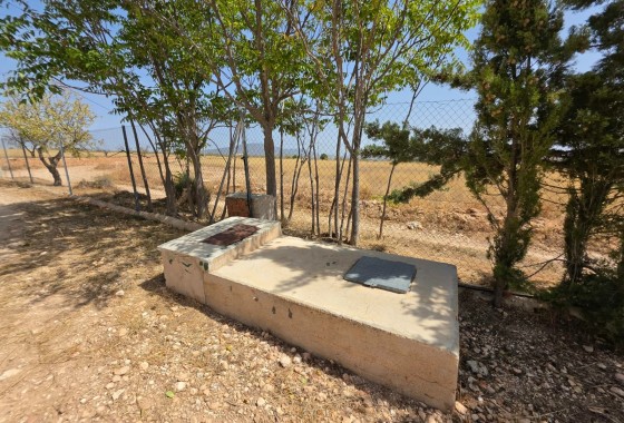 Revente - Property - Jumilla - Inland