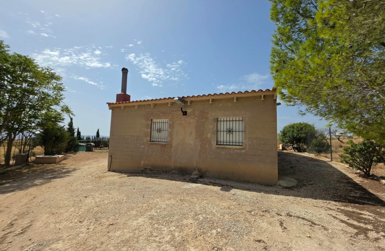 Revente - Property - Jumilla - Inland