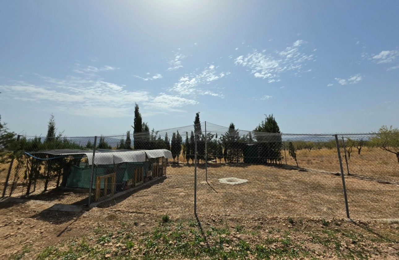 Revente - Property - Jumilla - Inland
