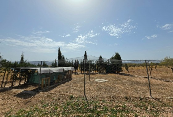 Revente - Property - Jumilla - Inland