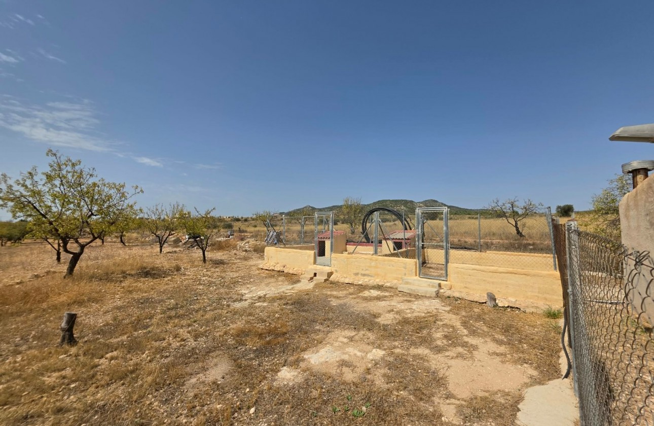 Revente - Property - Jumilla - Inland