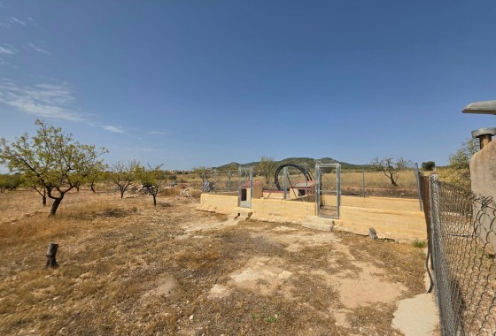 Revente - Property - Jumilla - Inland