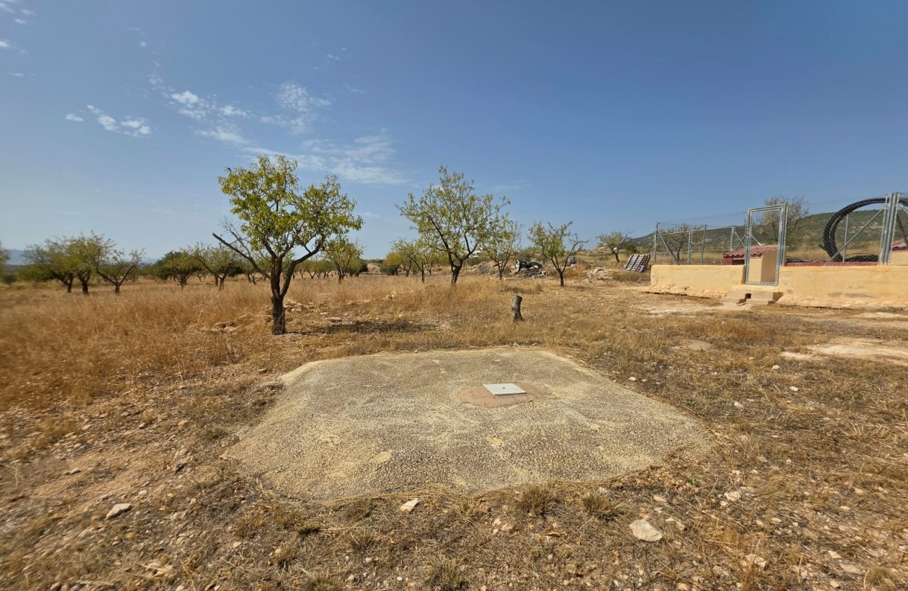 Revente - Property - Jumilla - Inland