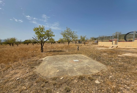 Revente - Property - Jumilla - Inland