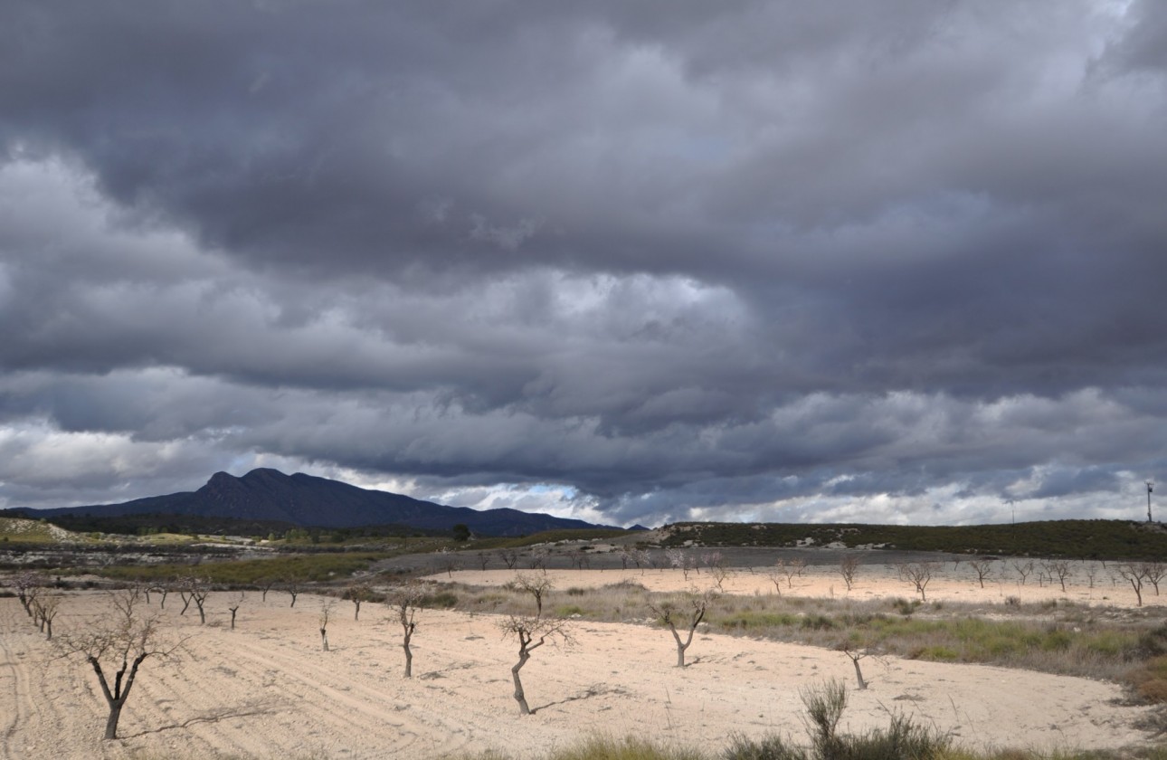 Revente - Property - Jumilla - Inland