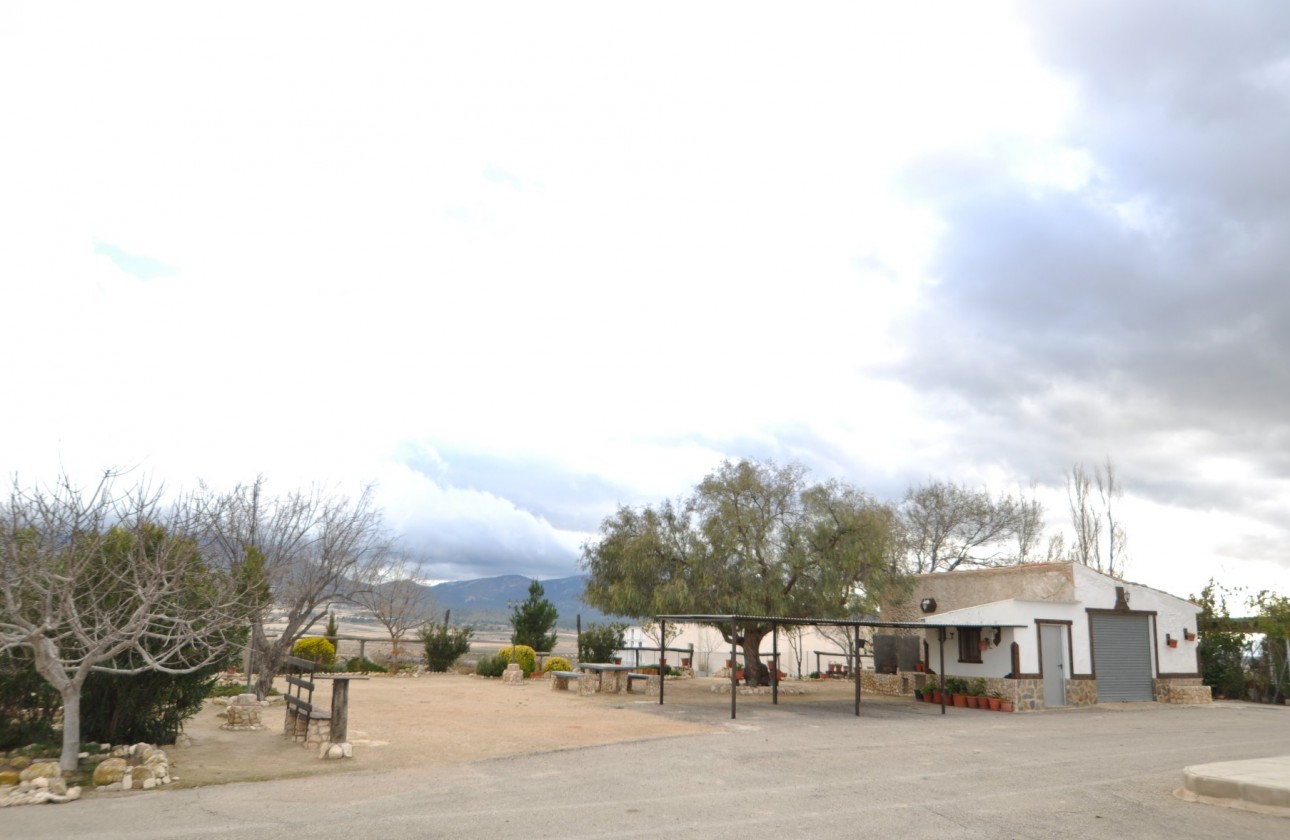 Revente - Property - Jumilla - Inland