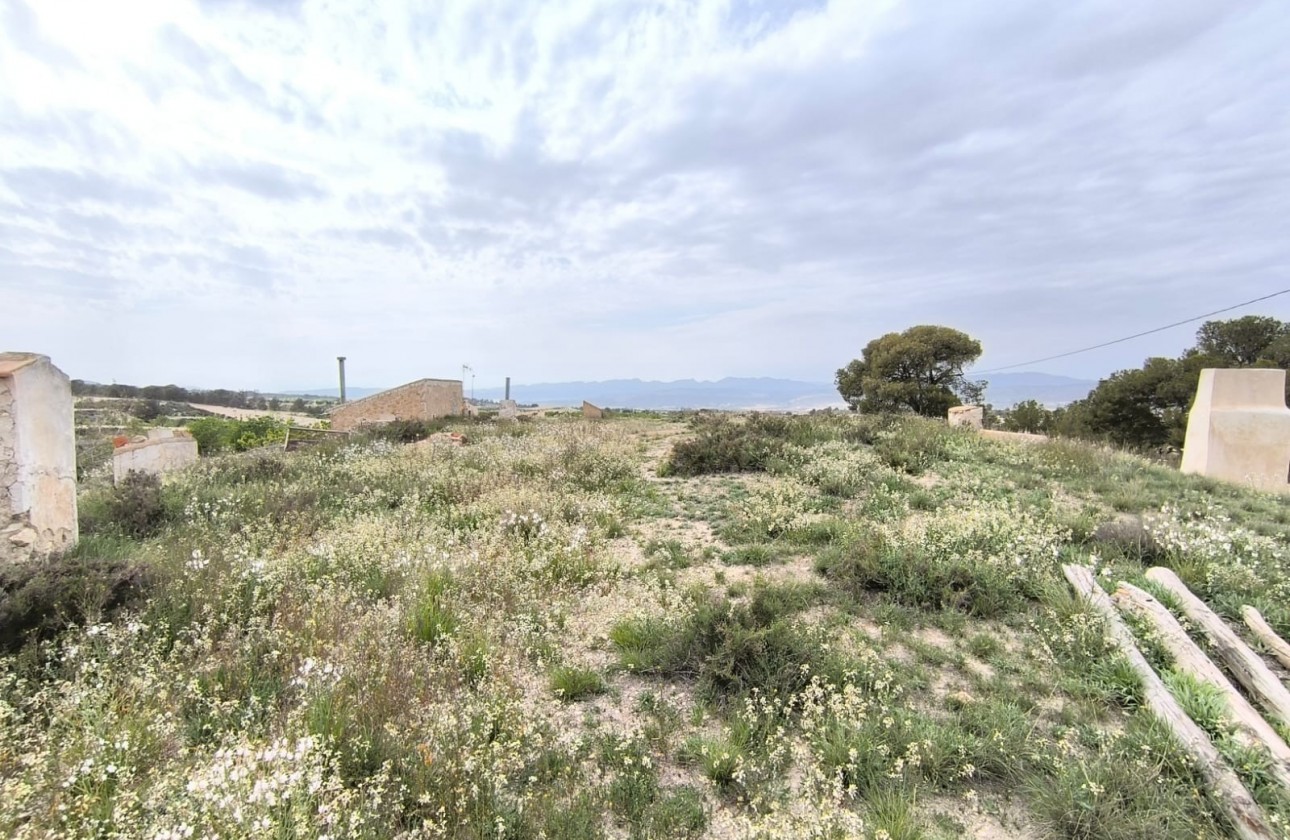 Revente - Property - Jumilla - Inland