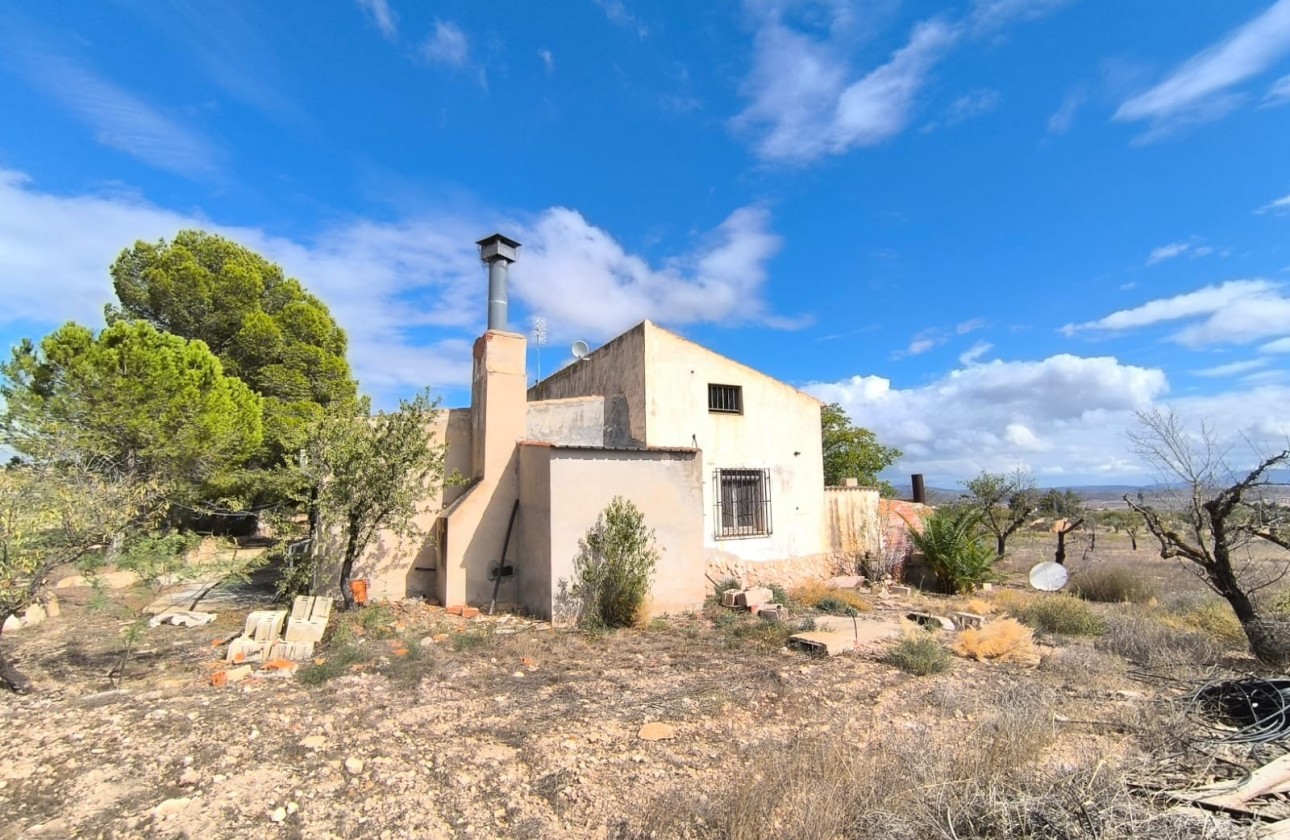 Reventa - Property - Yecla - Inland
