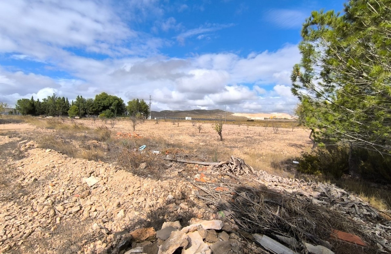 Reventa - Property - Yecla - Inland