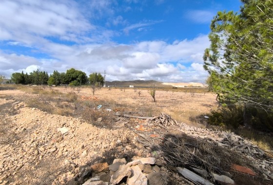 Revente - Property - Yecla - Inland