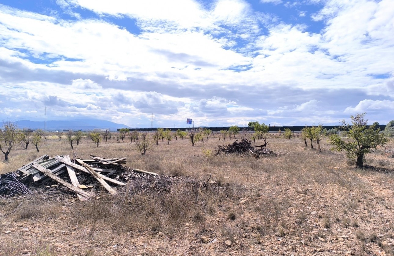 Reventa - Property - Yecla - Inland
