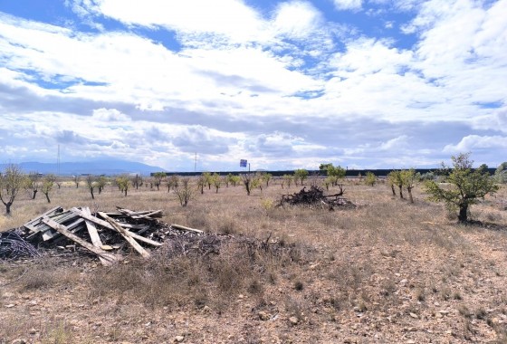 Revente - Property - Yecla - Inland