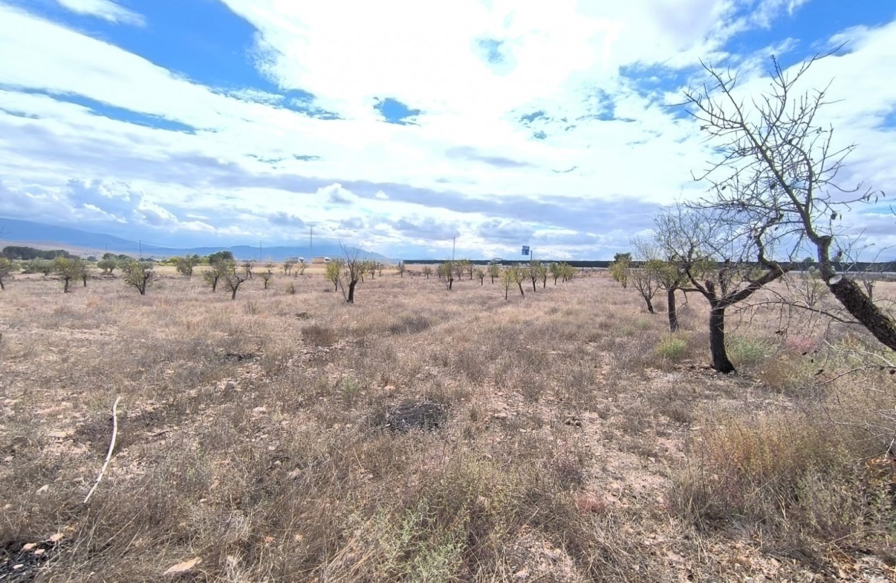 Reventa - Property - Yecla - Inland
