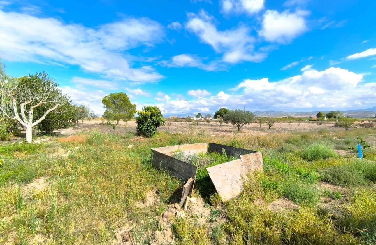 Reventa - Property - Yecla - Inland