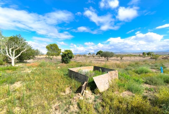 Revente - Property - Yecla - Inland
