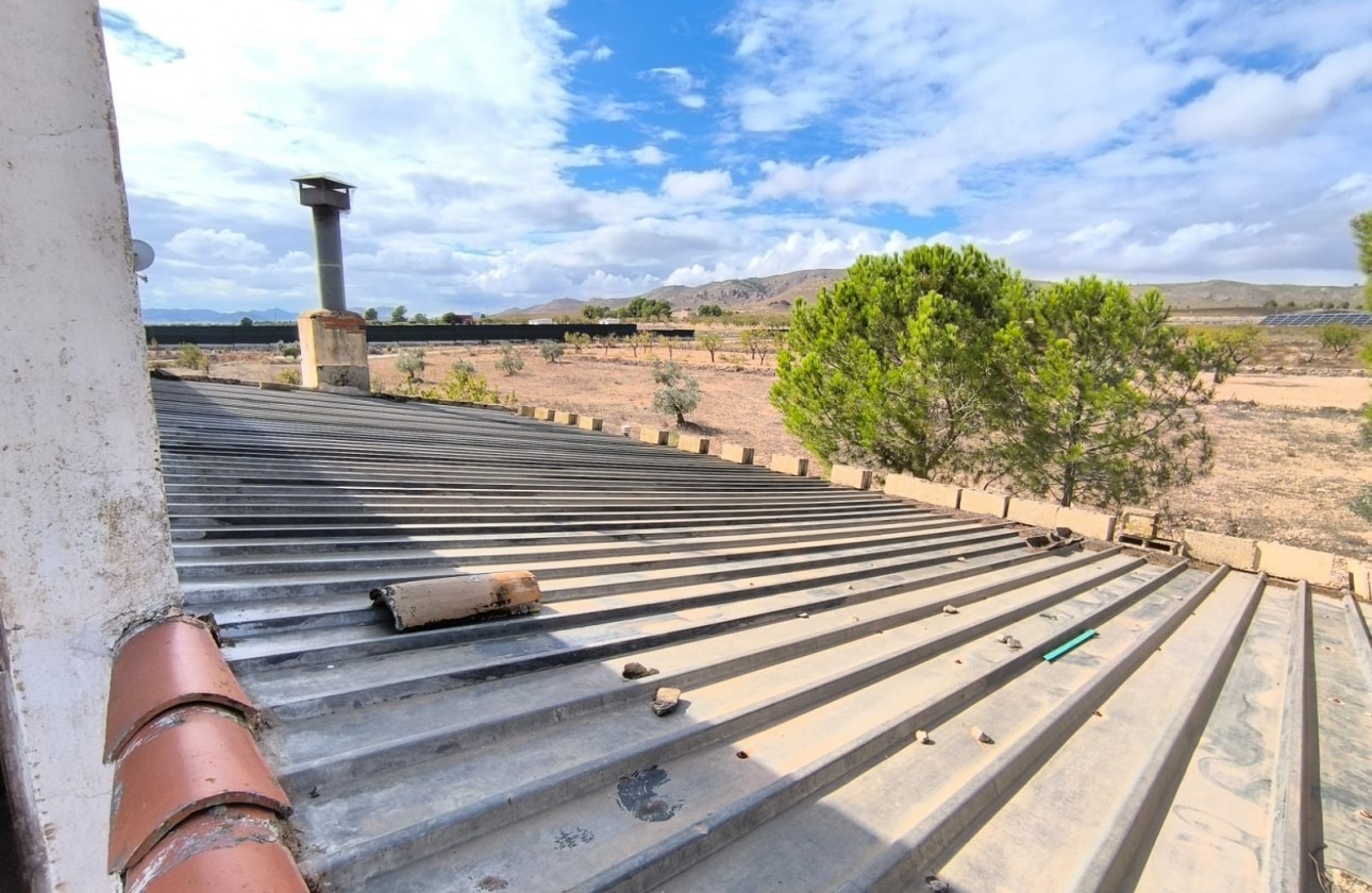 Reventa - Property - Yecla - Inland