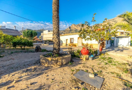 Resale - Finca - Orihuela - Raiguero De Bonanza
