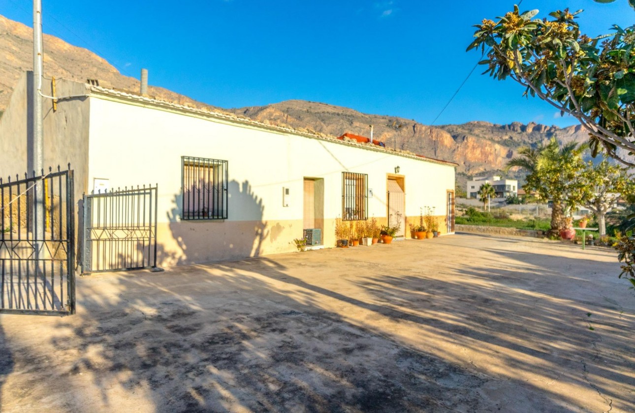 Resale - Finca - Orihuela - Raiguero De Bonanza