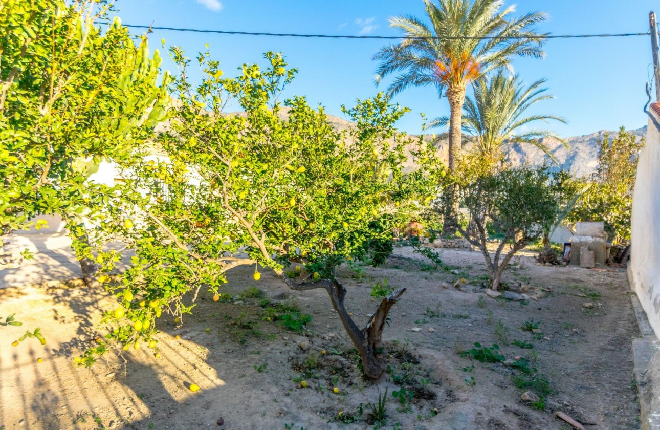 Resale - Finca - Orihuela - Raiguero De Bonanza