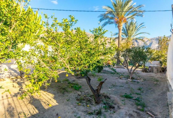 Resale - Finca - Orihuela - Raiguero De Bonanza