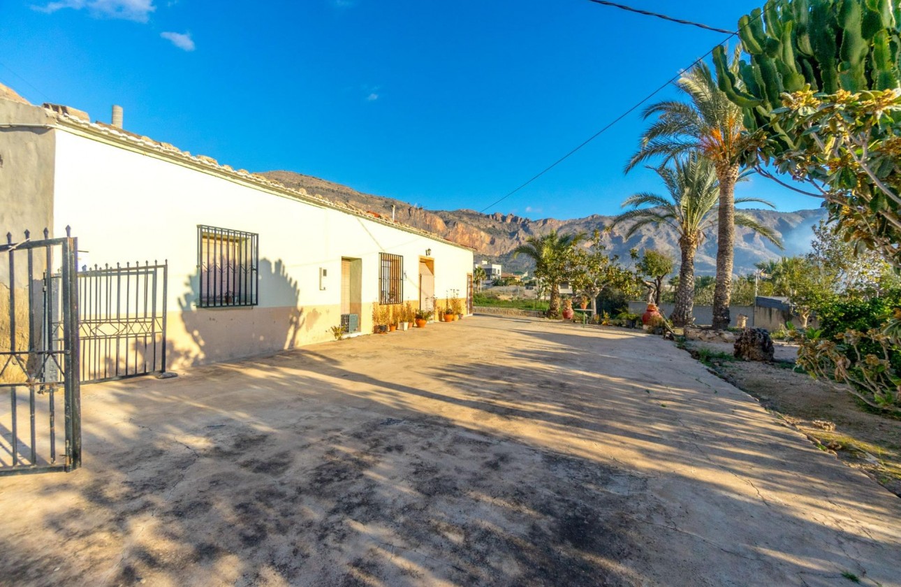 Resale - Finca - Orihuela - Raiguero De Bonanza