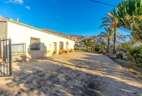 Resale - Finca - Orihuela - Raiguero De Bonanza