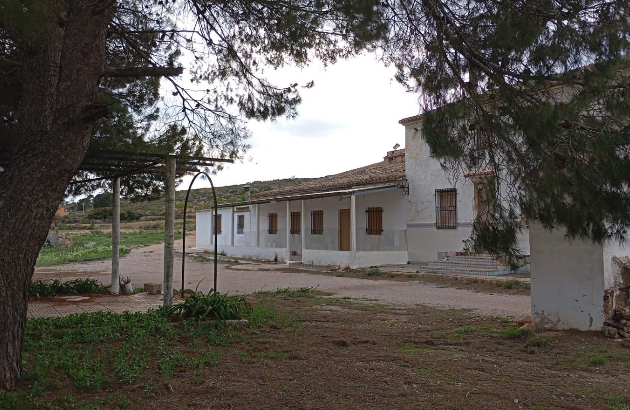 Revente - Property - Yecla - Inland