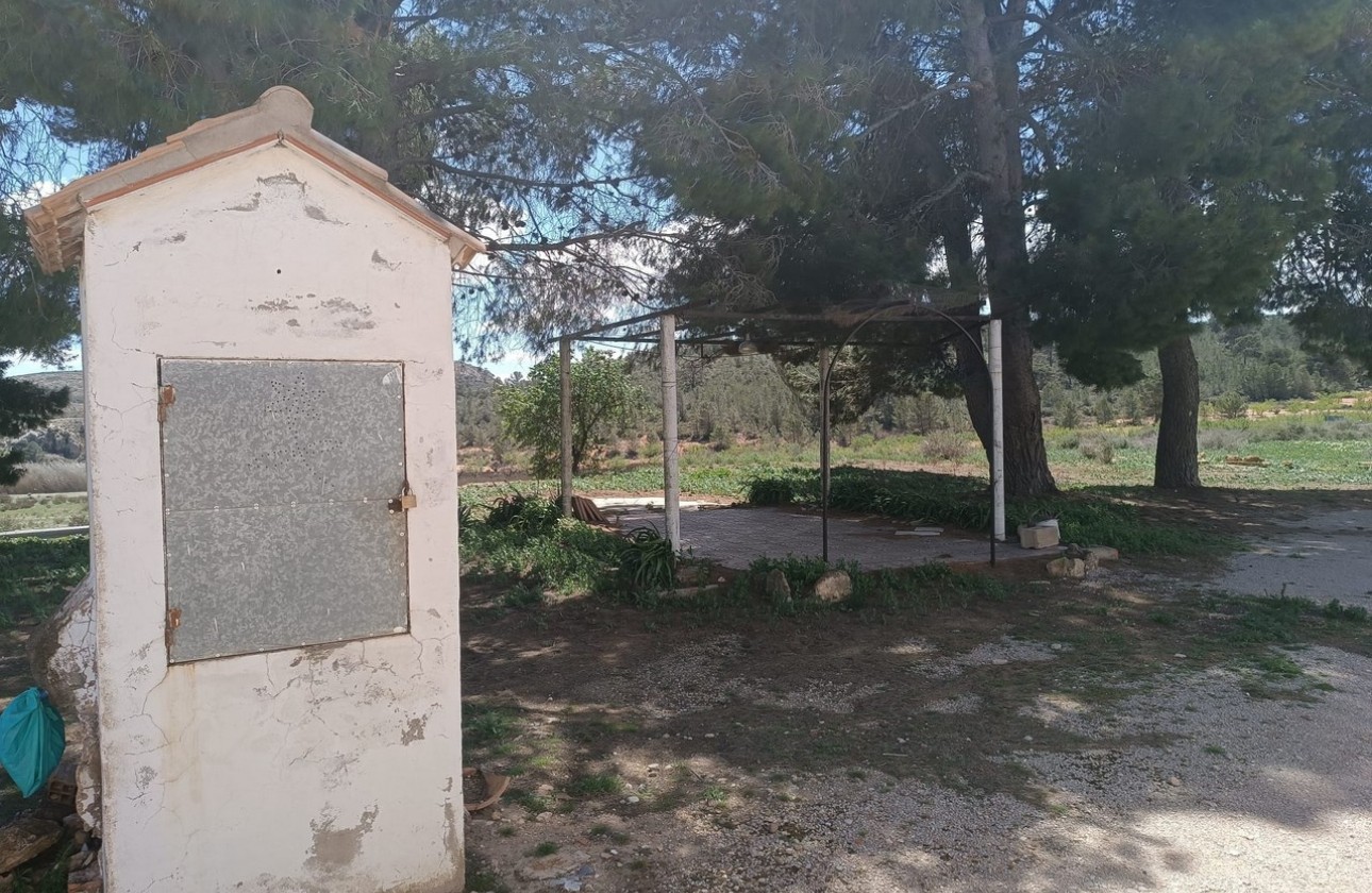Reventa - Property - Yecla - Inland
