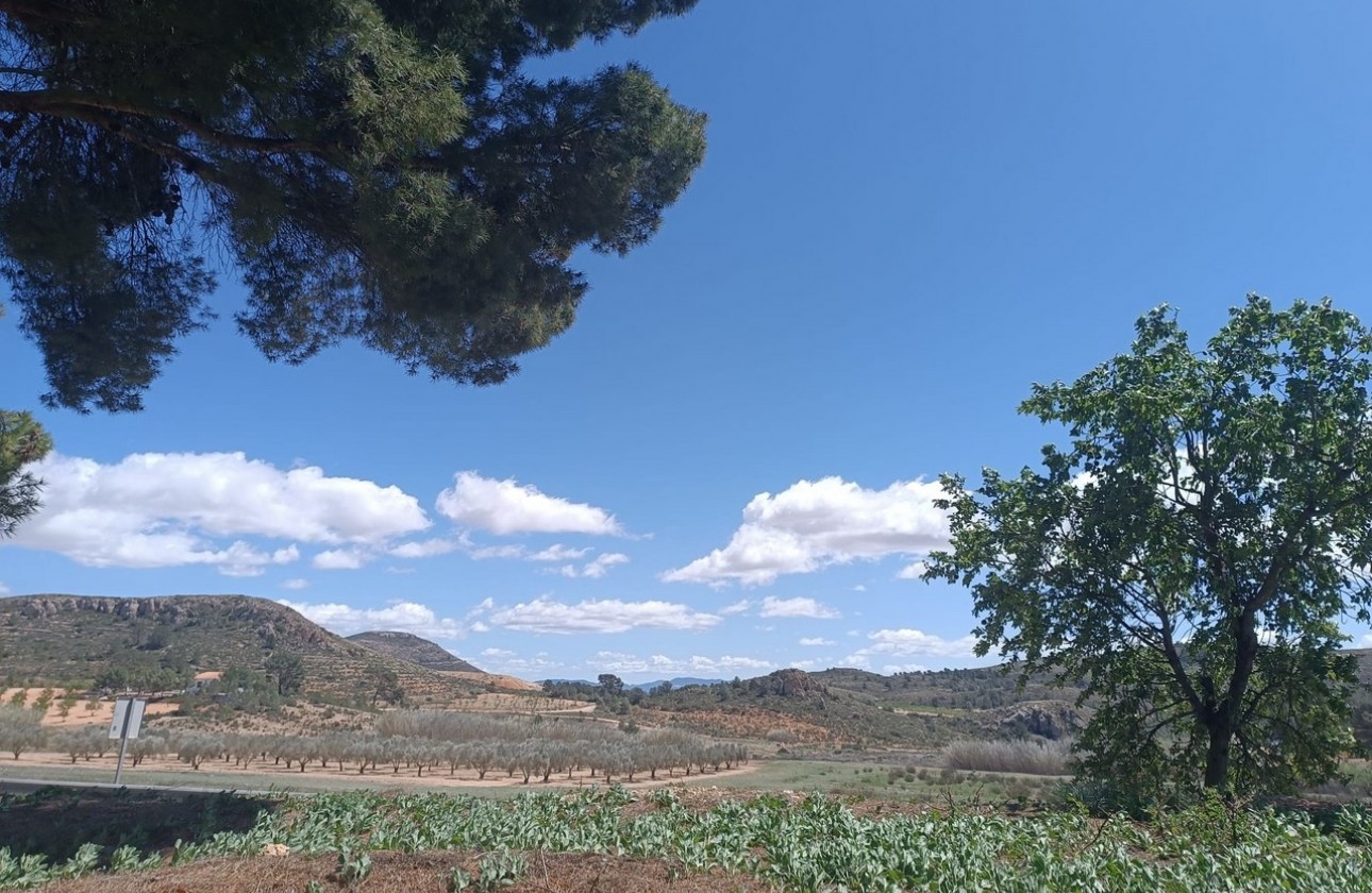 Reventa - Property - Yecla - Inland