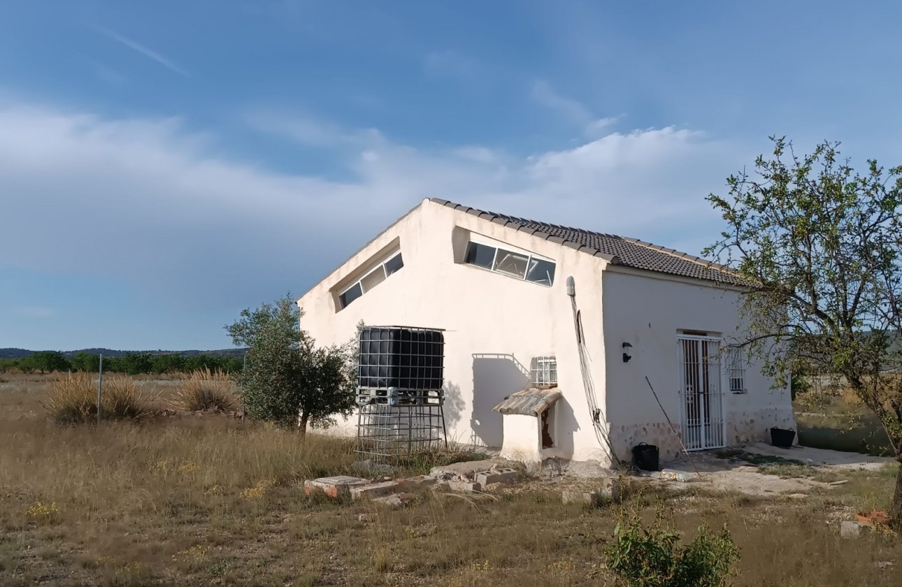 Revente - Property - Yecla - Inland