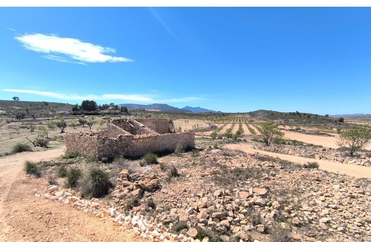 Reventa - Other - Pinoso - Inland