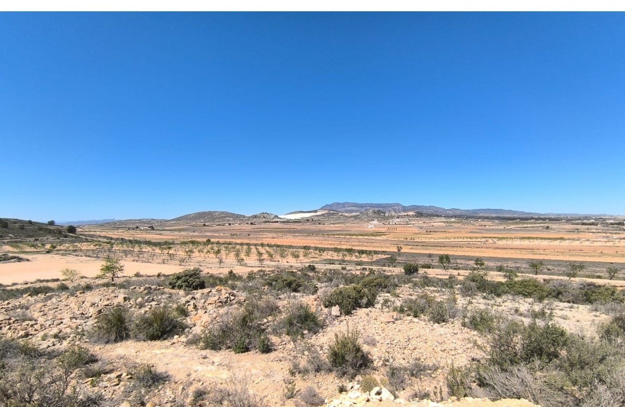Resale - Other - Pinoso - Inland