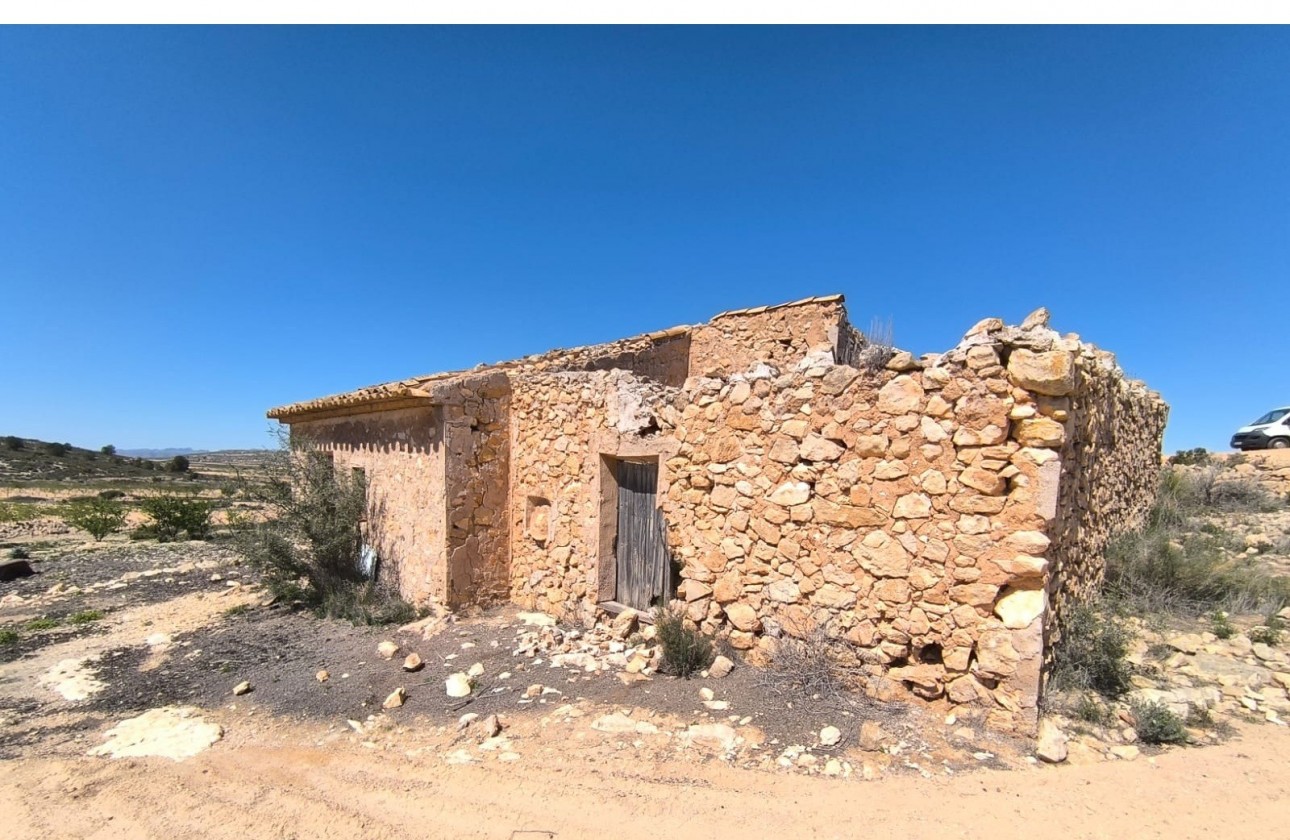 Resale - Other - Pinoso - Inland