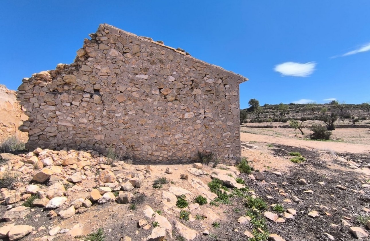 Resale - Other - Pinoso - Inland