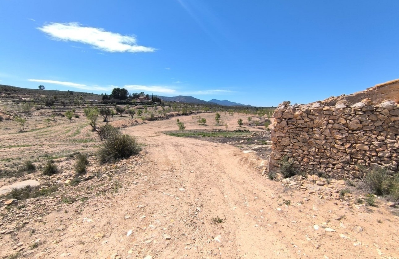Resale - Other - Pinoso - Inland