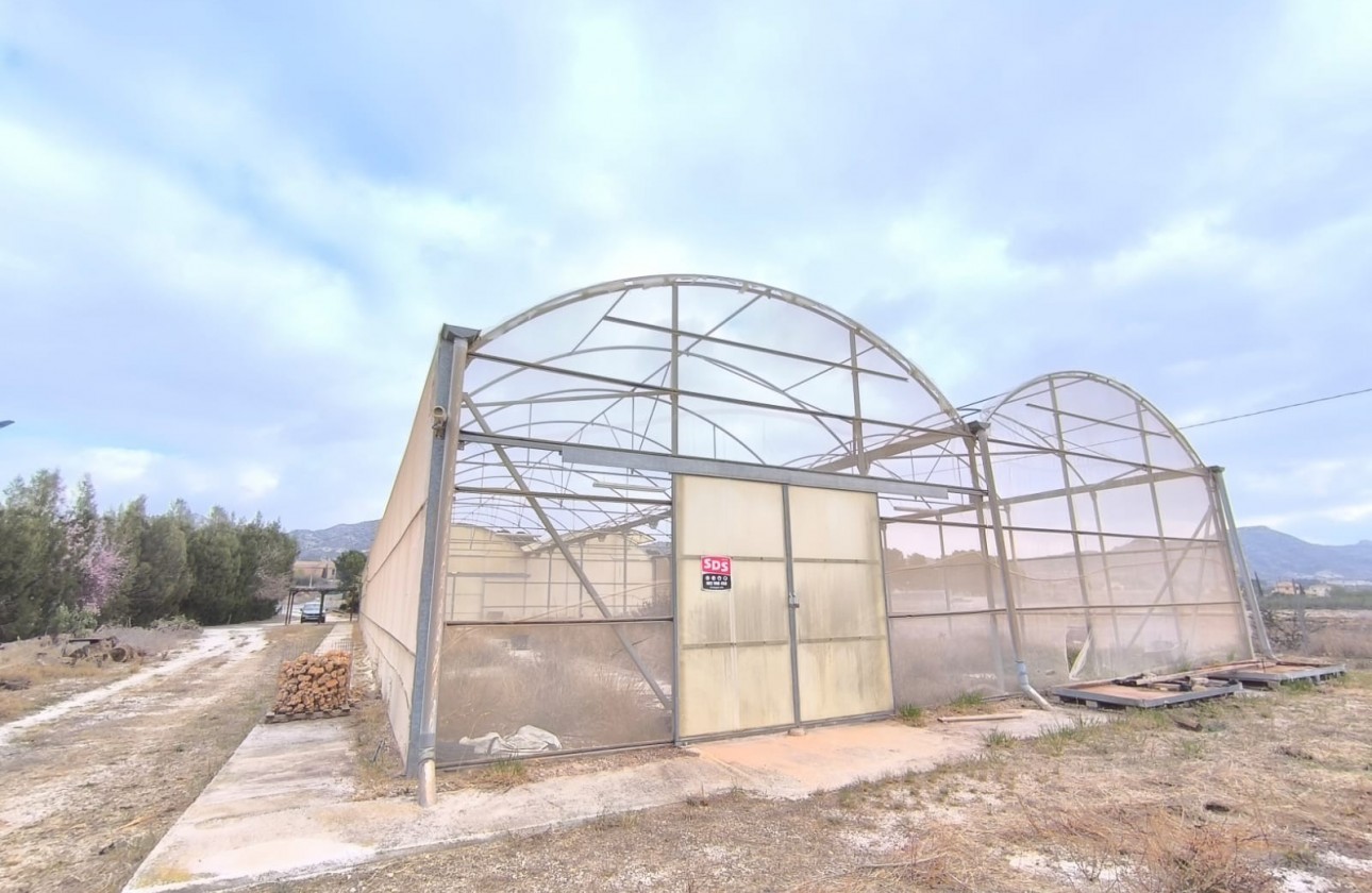 Reventa - Comercial - Aspe - Inland