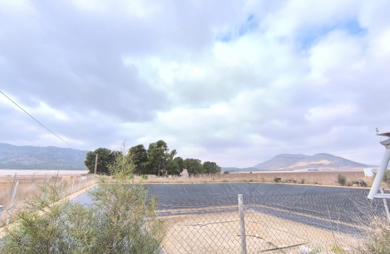 Reventa - Comercial - Aspe - Inland