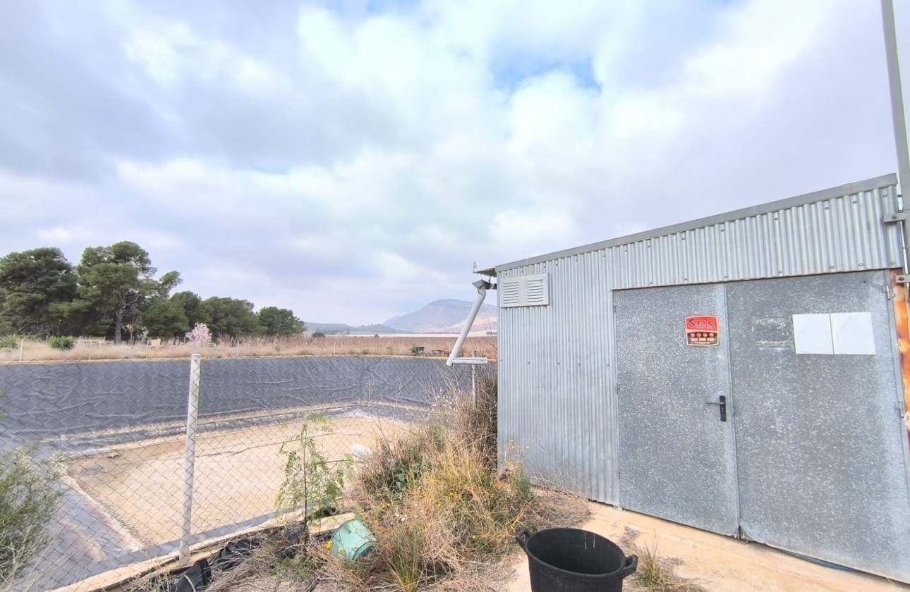 Reventa - Comercial - Aspe - Inland
