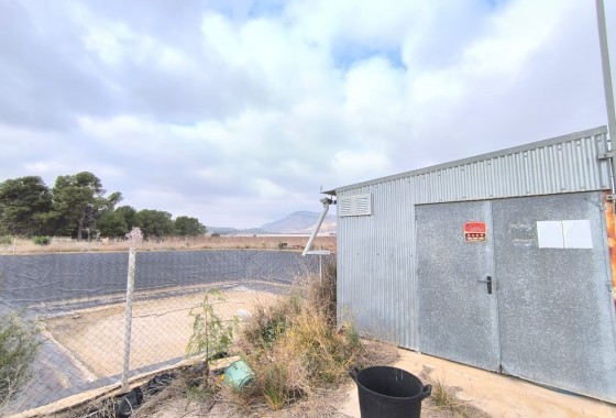 Reventa - Comercial - Aspe - Inland
