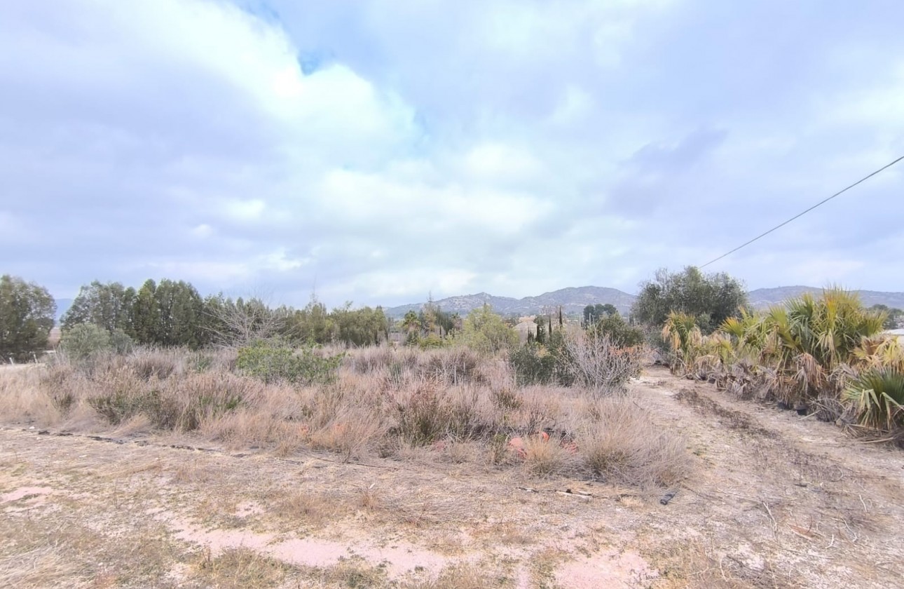 Reventa - Comercial - Aspe - Inland