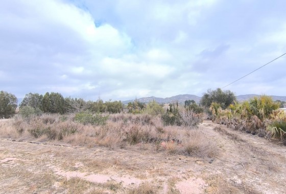 Reventa - Comercial - Aspe - Inland